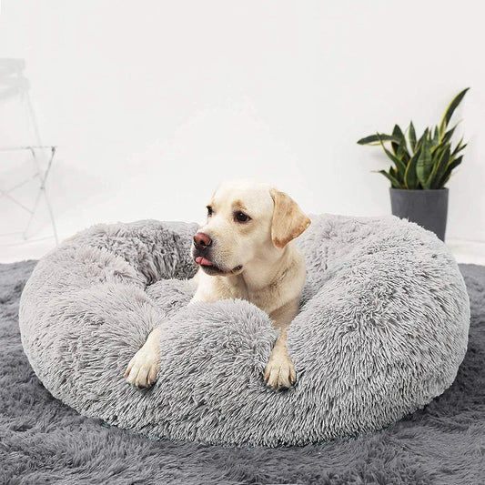 Premium hondenbed My Store