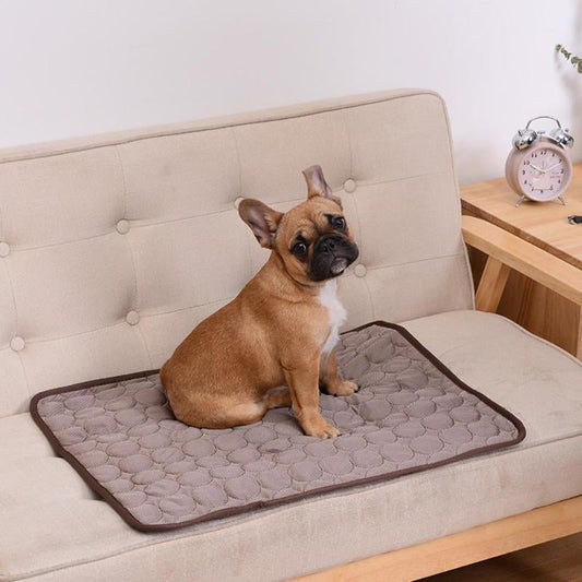 Koelmat voor huisdieren My Store