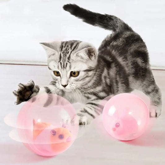 Rollende hamster My Store