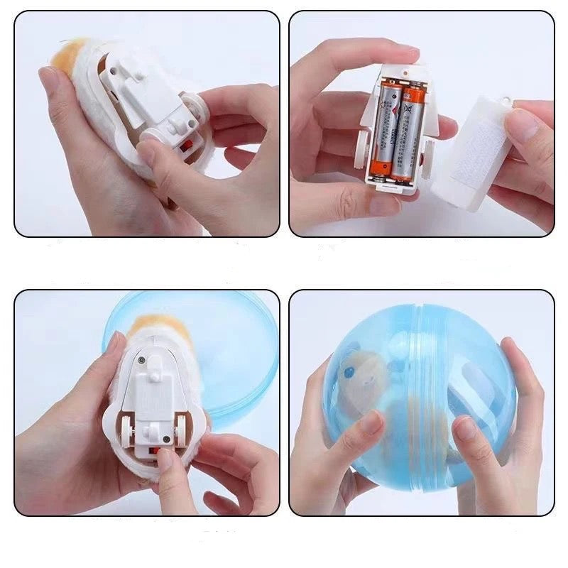 Rollende hamster My Store