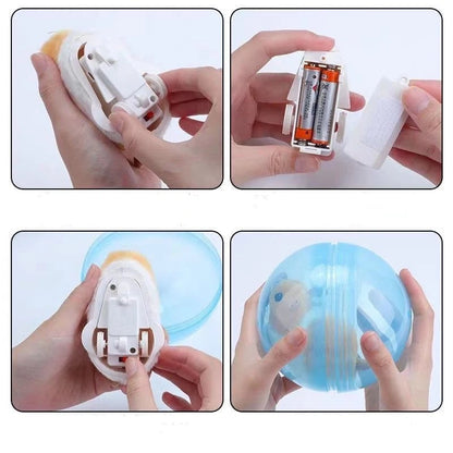 Rollende hamster My Store
