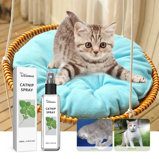 Kattenkruid Spray met zilverstok My Store