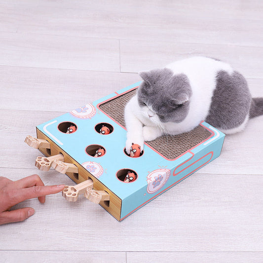 3-in-1 speelbox voor katten My Store