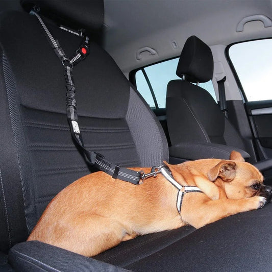 Autogordel voor honden My Store