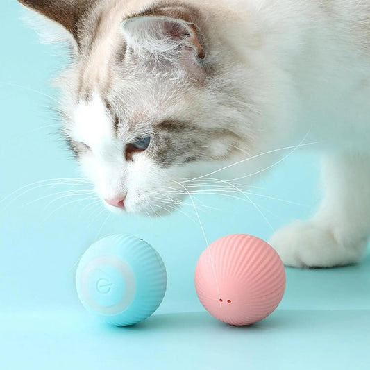 Interactieve speelbal voor katten My Store