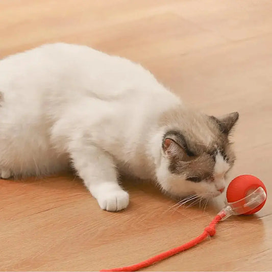 Interactieve Speelbal Met Staart Voor Katten My Store