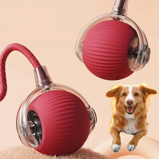 Interactieve speelbal met staart voor honden My Store