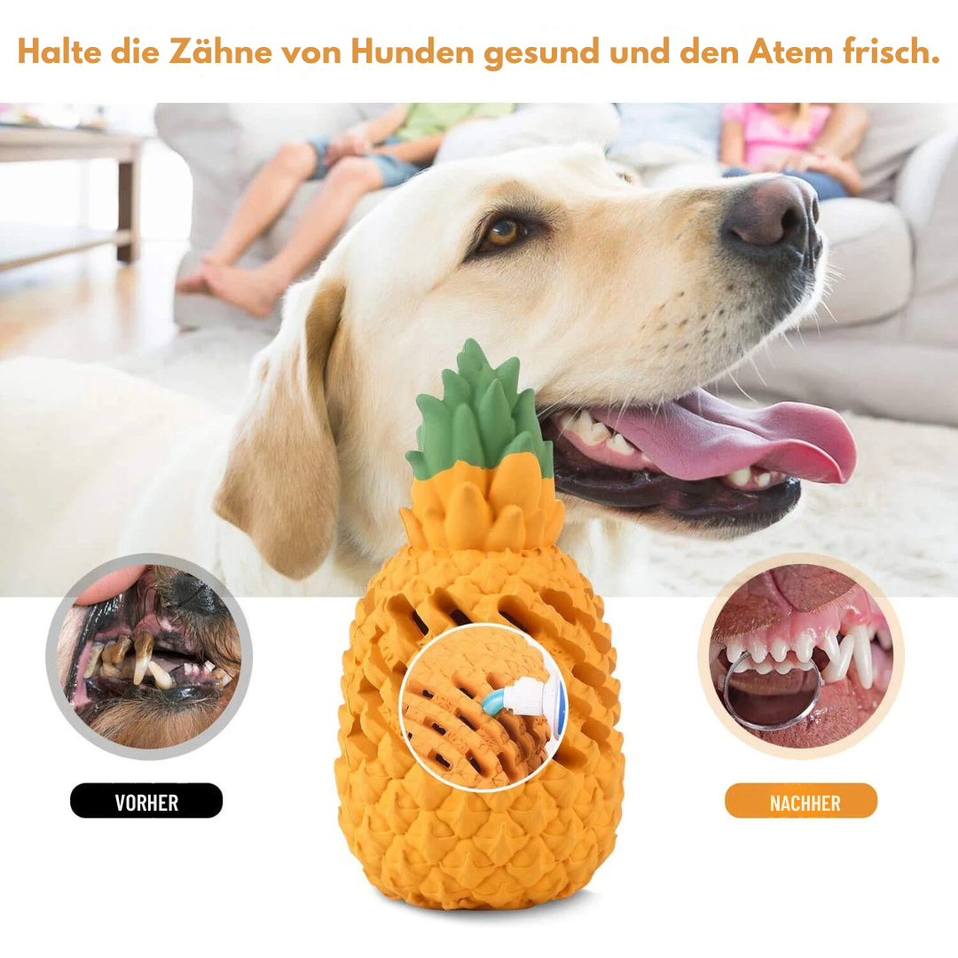 Onverwoestbaar ananasspeeltje om op te kauwen voor honden My Store